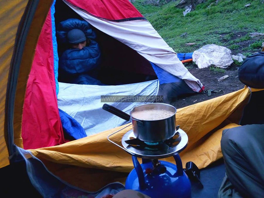 Naran to Kashmir Hike (Besal-Saral-Surgan-Sharda)