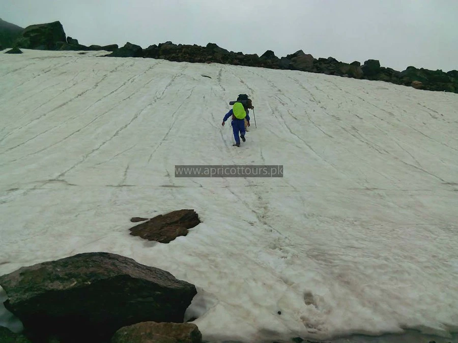 Naran to Kashmir Hike (Besal-Saral-Surgan-Sharda)